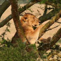 /album/fotos-afrika/img-5474-small-jpg/